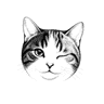 TFG Assistant